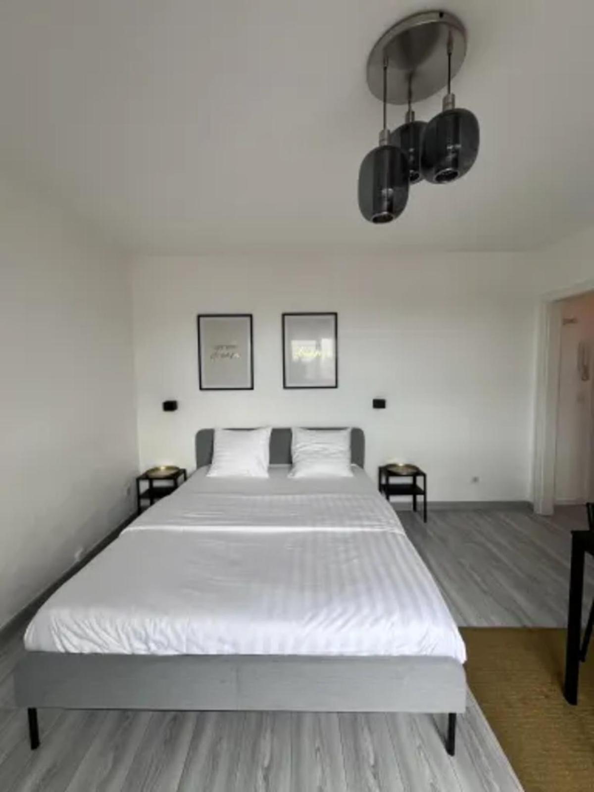 Cosy Rent Strasbourg Wifi Terrasse St Aloise Villa Екстериор снимка